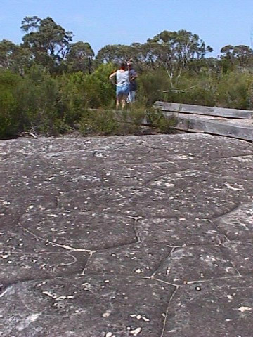 Rock Carving Site